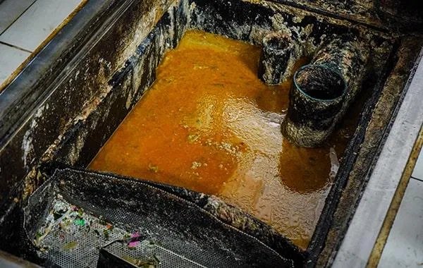 Open grease trap with a thick orange grease layer and inlet pipes at a Los Angeles taqueria